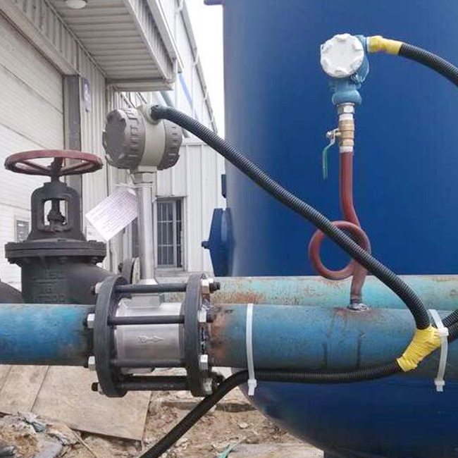 đồng hồ đo lưu lượng khí gas