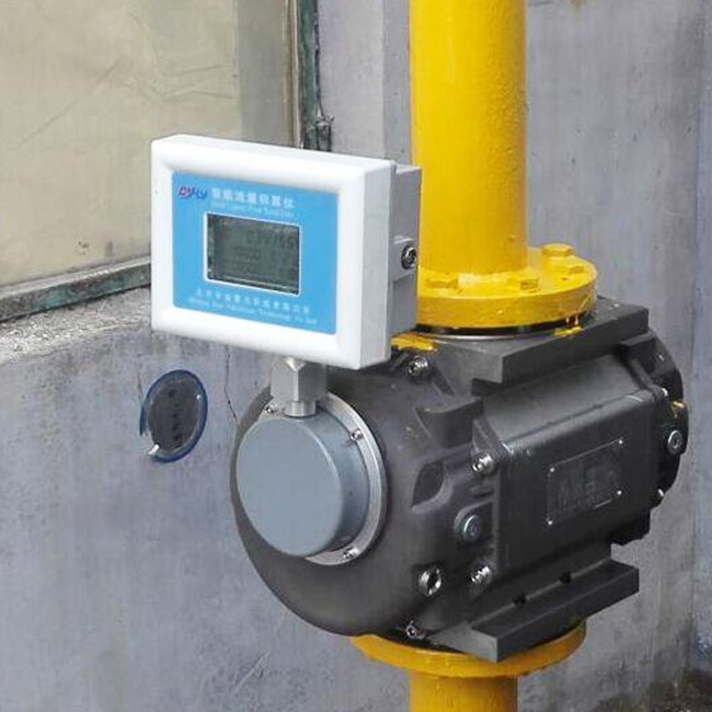 Gas Roots Flow Meter Manufacturer, High Accuracy Gas Flow Meter