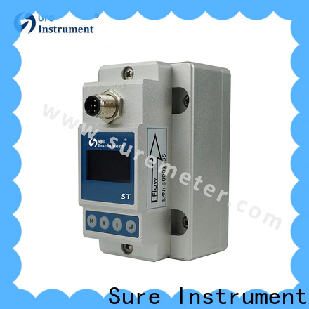 Sure portable ultrasonic flow meter from China for steam