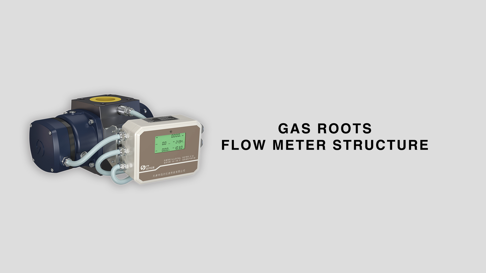 Gas roots flow meter structure